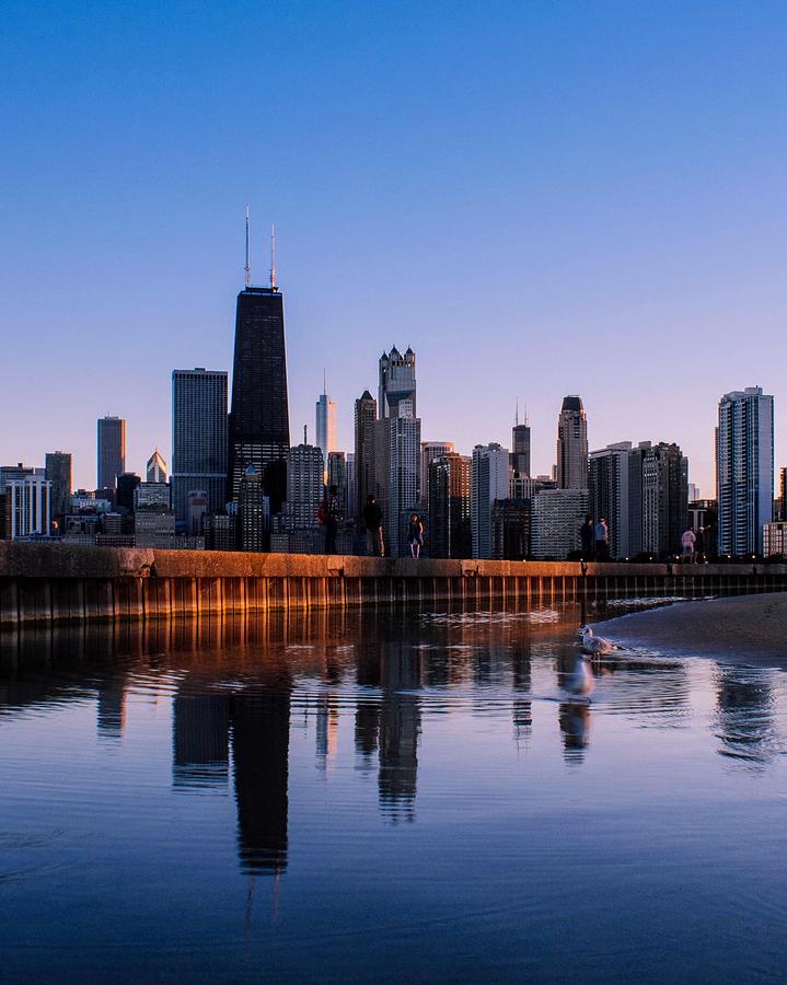 Chicago Skyline from North Avenue Photograph by Charlie Schafer | Fine ...