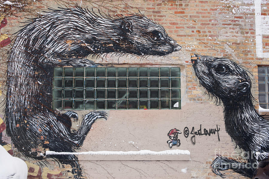 Chicago Street Art, Graffiti, Rats Photograph by Juli Scalzi