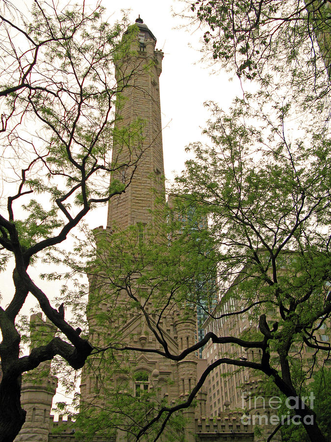 Chicago Water Tower Behind Trees Photograph by Nieves Nitta