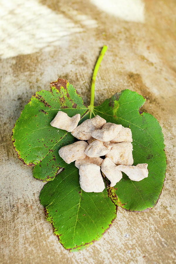 Chicharrones pork Belly With Gofio On A Fig Leaf Photograph by Sabine Lscher