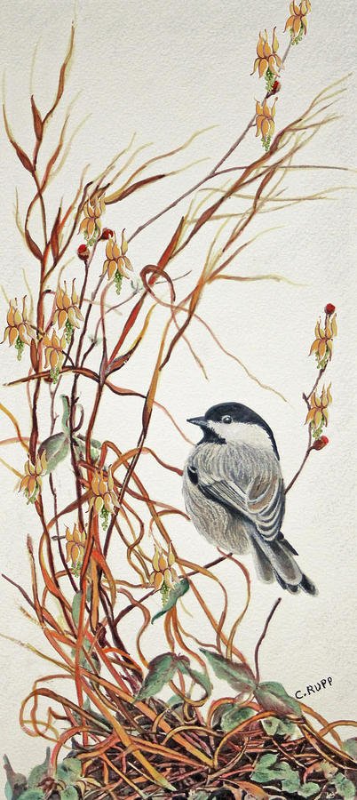 Bird Painting - Chickadee In Summer Grass by Carol J Rupp