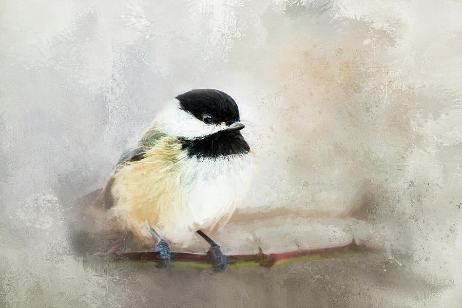 Chickadee Digital Art by Terry Davis