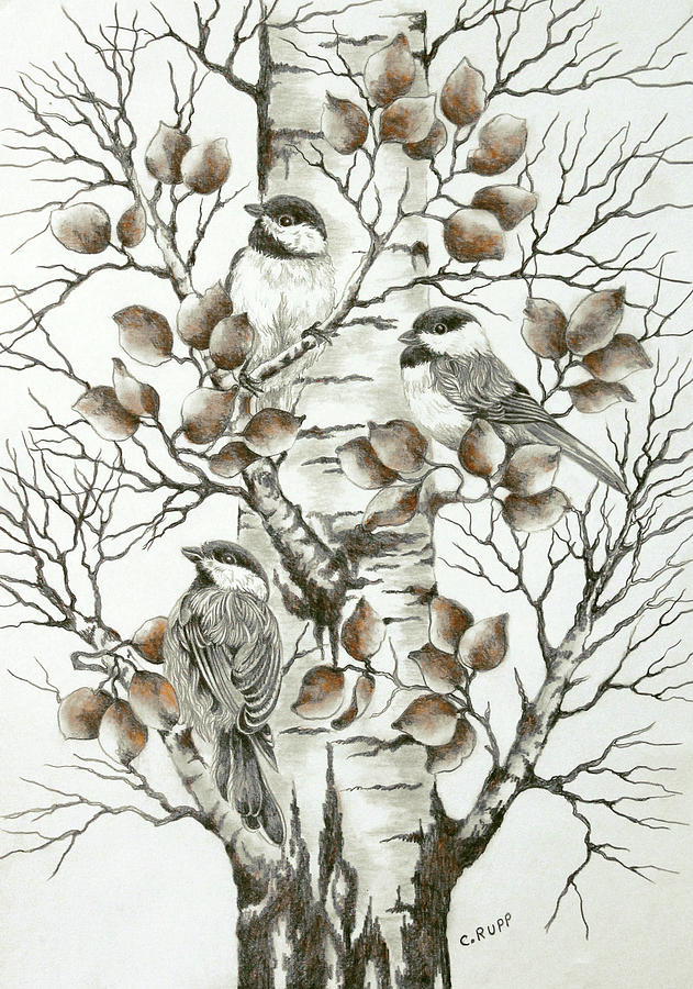 Bird Painting - Chickadee Trio 5 by Carol J Rupp