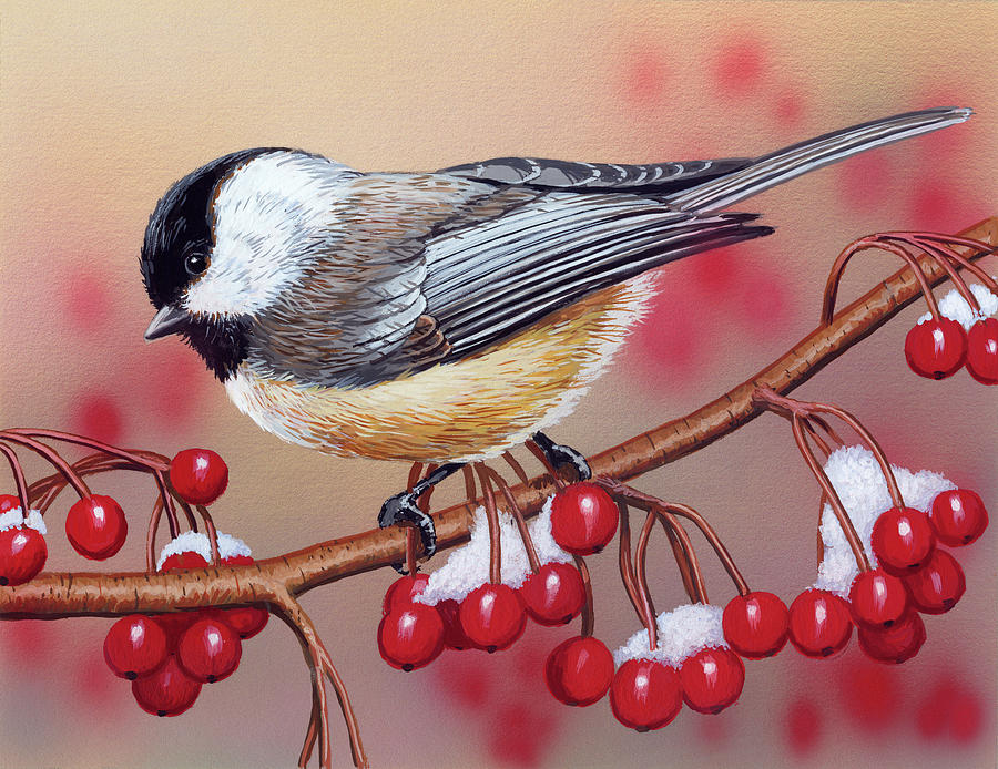 Chickadee Painting - Chickadee With Berries by William Vanderdasson