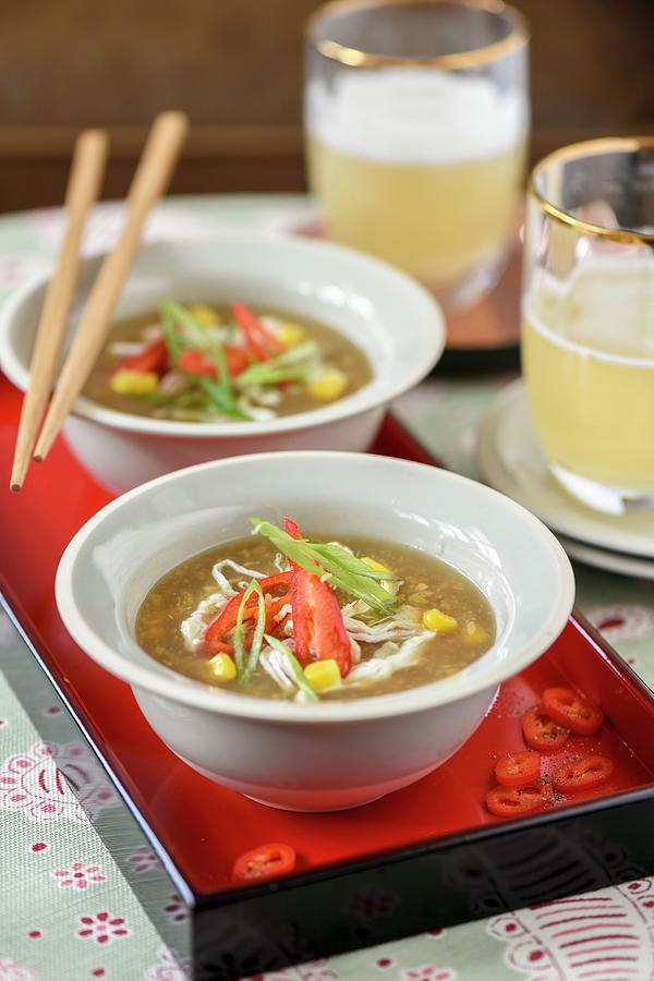 Chicken And Sweetcorn Soup With Chillis And Spring Onion asia Photograph by Winfried Heinze