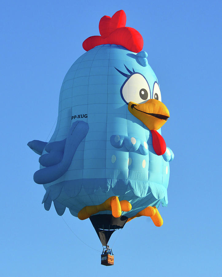 Chicken balloon at the fiesta Photograph by David Lee Thompson