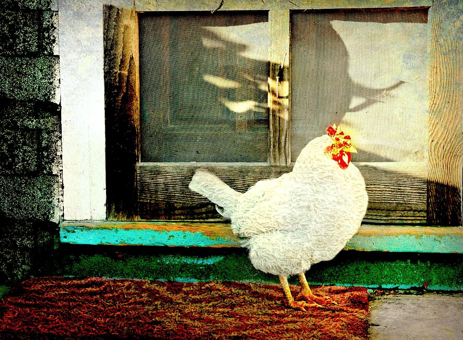 Chicken Coop Photograph by Diana Angstadt