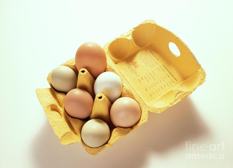 Chicken Eggs Photograph by Cordelia Molloy/science Photo Library