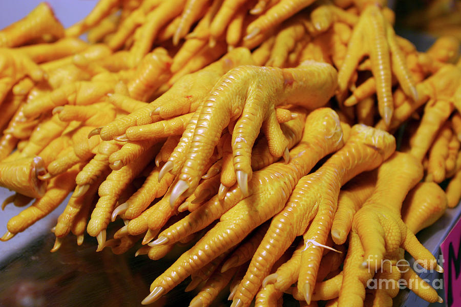 Chicken Feet Photograph By Peter Menzel science Photo Library Pixels