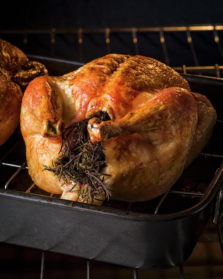 Chicken In Roasting Pan Coming Out Of The Oven With Rosemary Stuffed In 