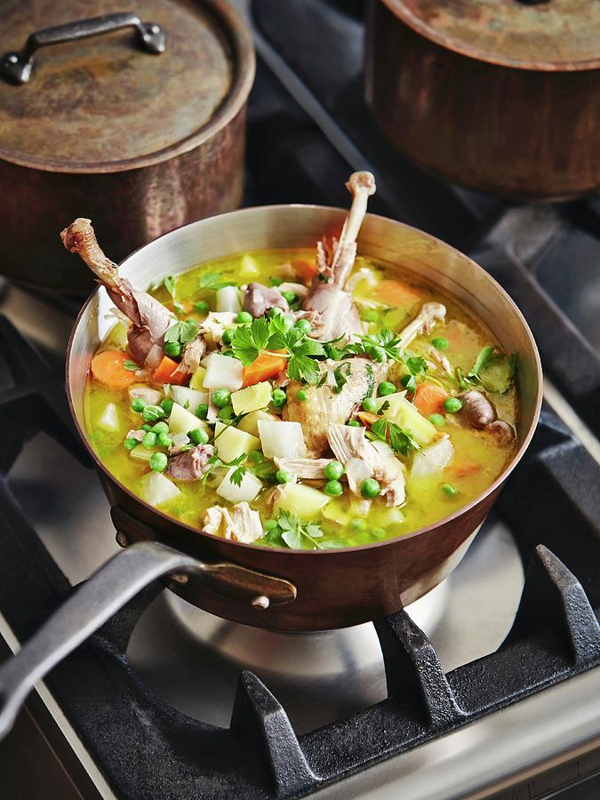 Chicken Stew In A Copper Pan On A Stove Photograph by Thorsten Kleine Holthaus