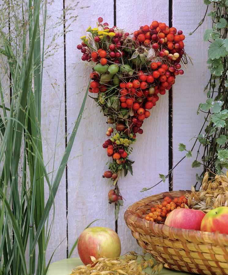 Chicken Wire Heart With Berry Decoration Photograph by Friedrich Strauss