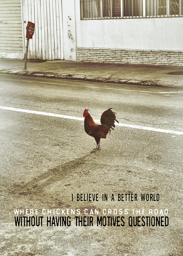 CHICKEN XING quote Photograph by JAMART Photography