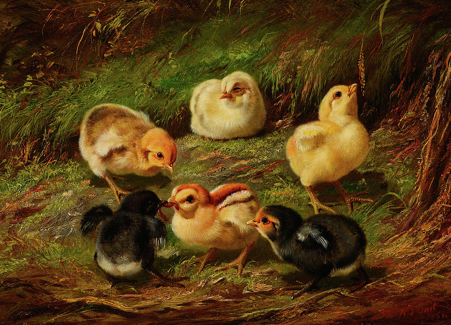 Arthur Fitzwilliam Tait Painting - Chicks, 1864 by Arthur Fitzwilliam Tait Arthur Fitzwilliam Tait Painting - Chicks, 1864 by Arthur Fitzwilliam Tait