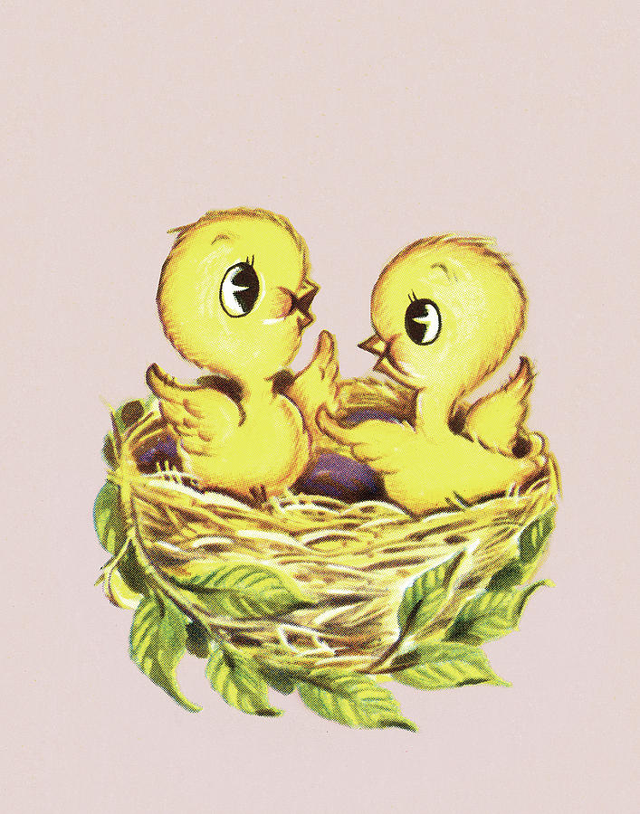 Nature Drawing - Chicks by CSA Images