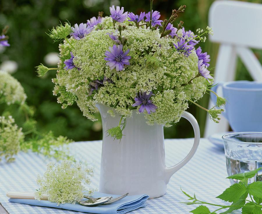 Spring Photograph - Chicory Flowers And Cow Parsley In A Jug by Strauss, Friedrich