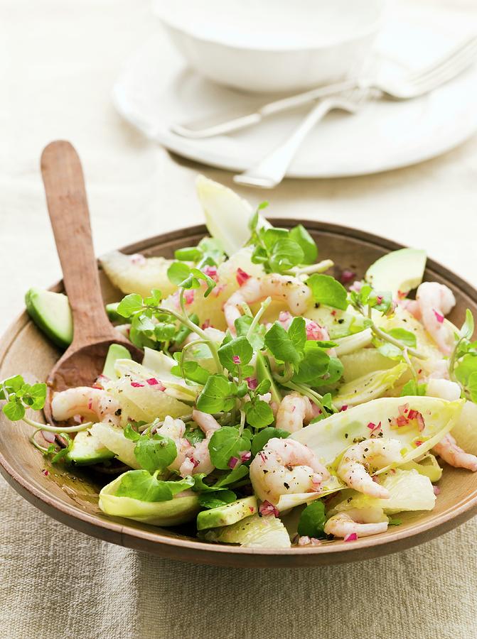 Chicory Salad With Grapefruit, Prawns And Avocado Photograph by Lingwood, William