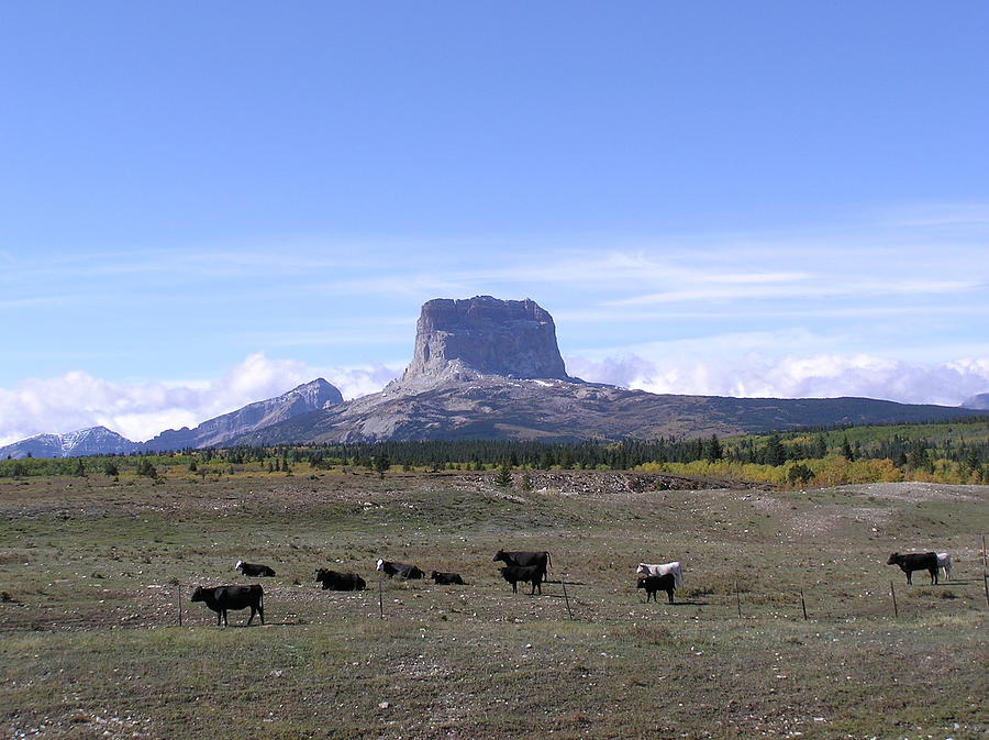 Chief Mountain In Glacier National Park Photograph by Donna62