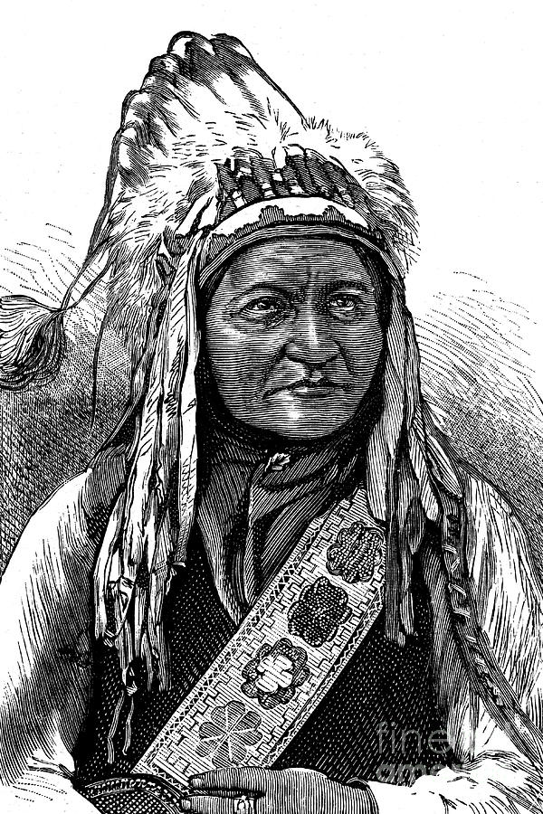 Black And White Drawing - Chief Sitting Bull, American Indian by Print Collector