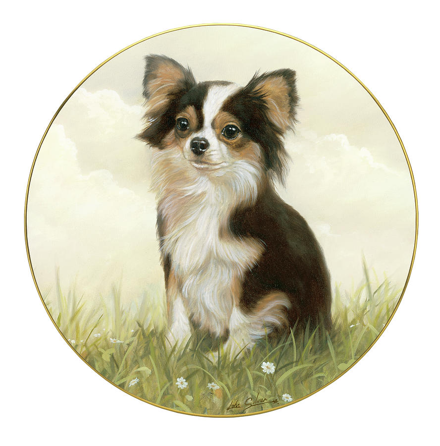 Dog Painting - Chihuahua #4 by John Silver