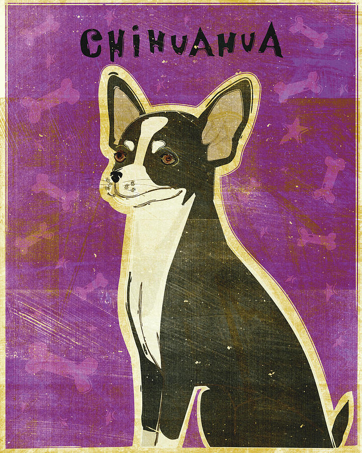 Animal Digital Art - Chihuahua (black And White) by John W. Golden