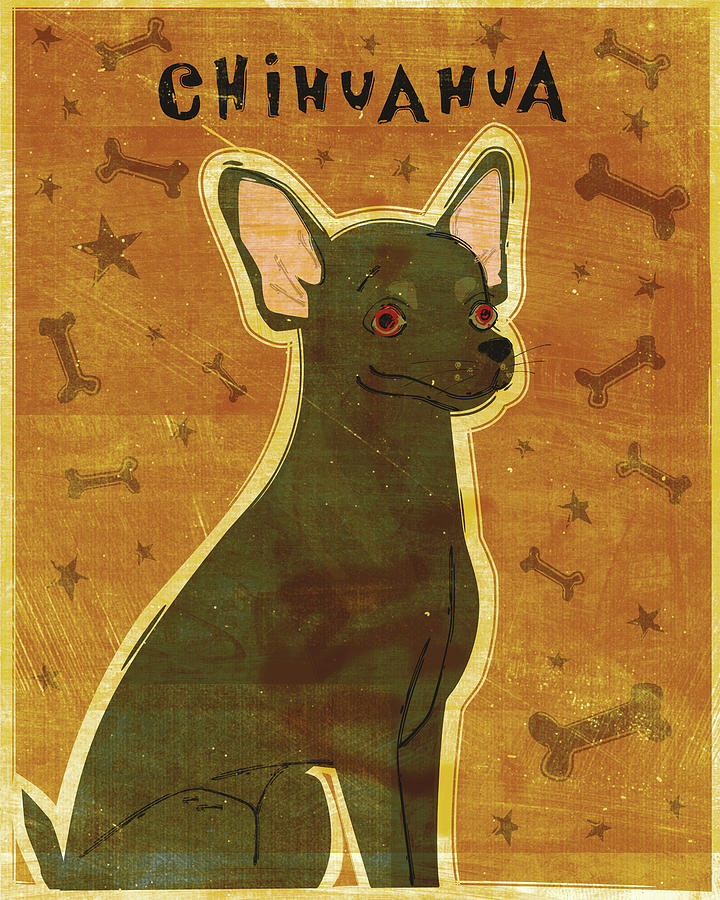 Animal Digital Art - Chihuahua (black) by John W. Golden