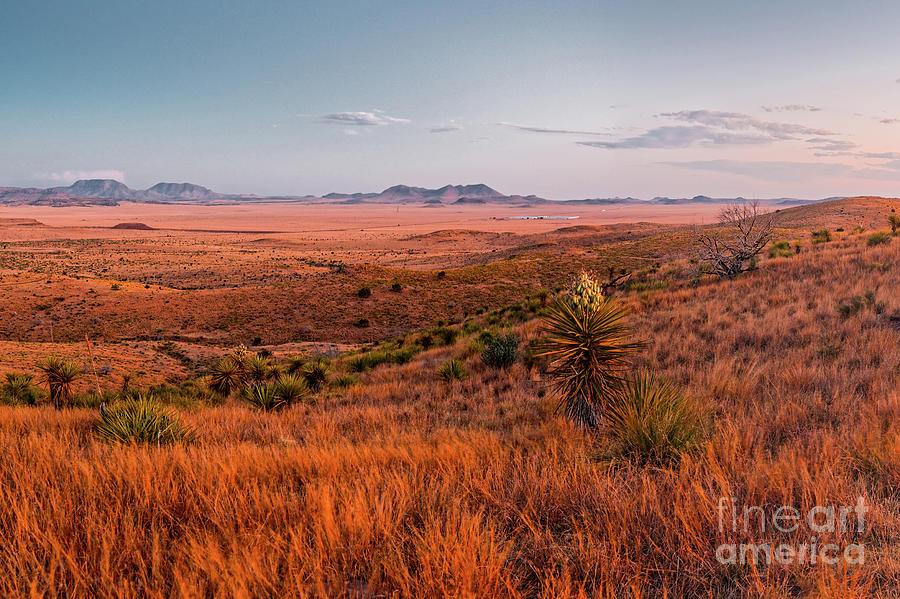 Chihuahua Desert Twilight Glow - Davis Mountains State Park - Fort Davis West Texas Photograph by Silvio Ligutti