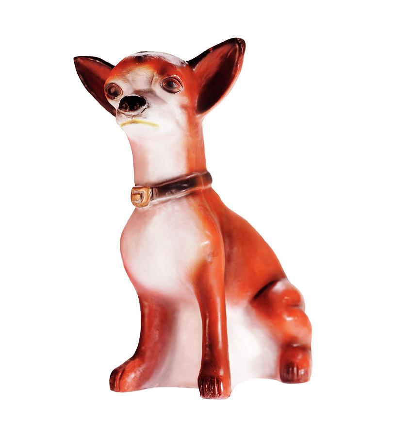 Vintage Drawing - Chihuahua Dog by CSA Images