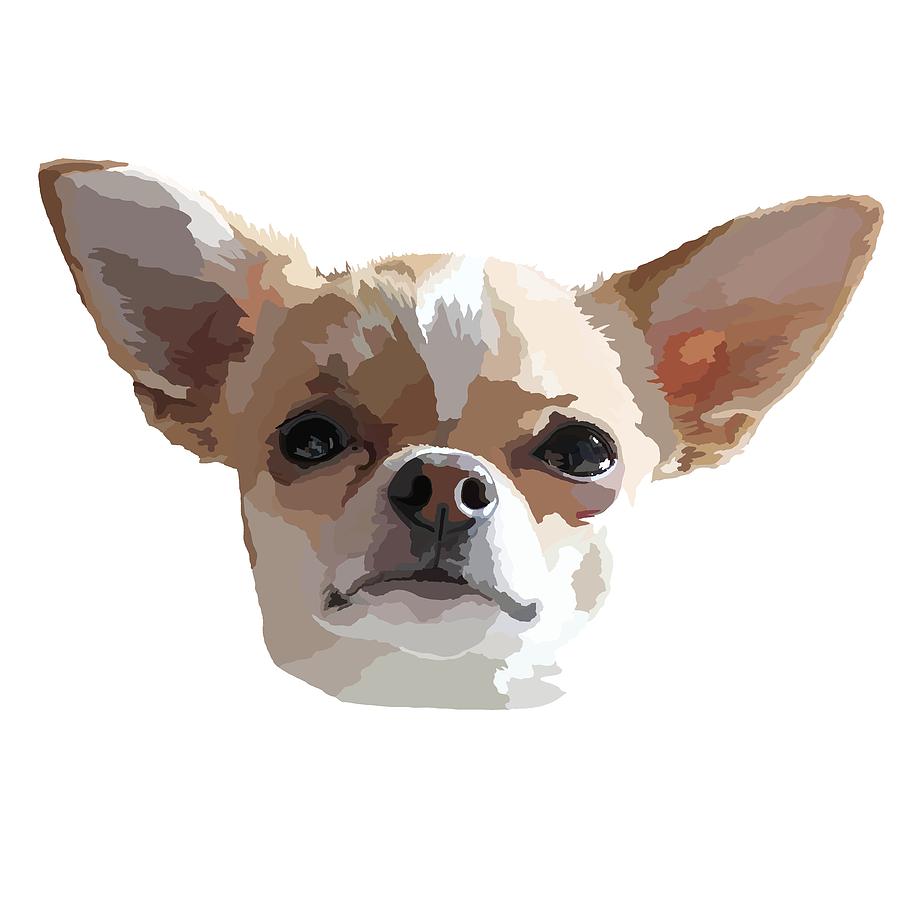 Chihuahua dog sketch Royalty Free Vector Image
