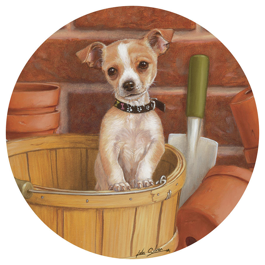 Chihuahua In Basket Painting by John Silver