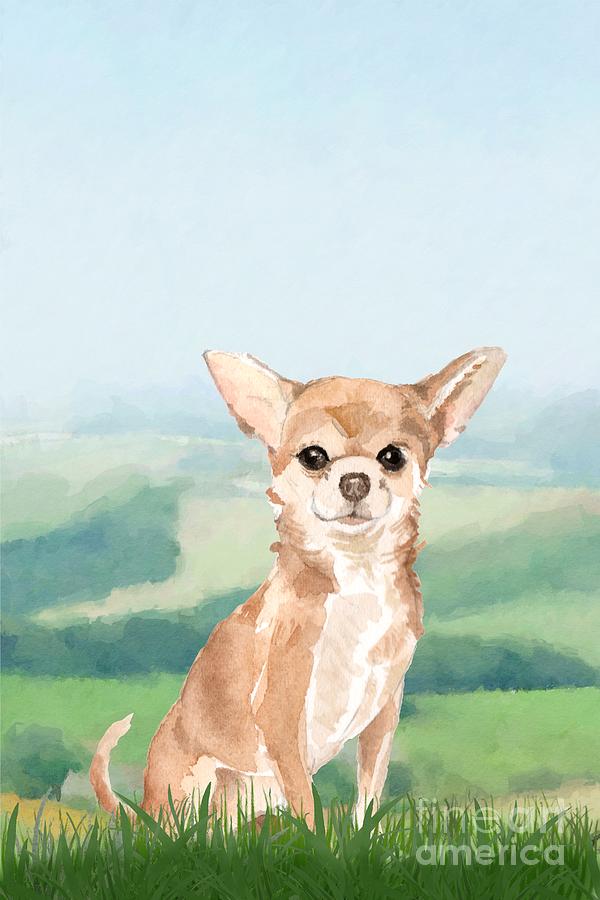 Chihuahua Painting by John Edwards