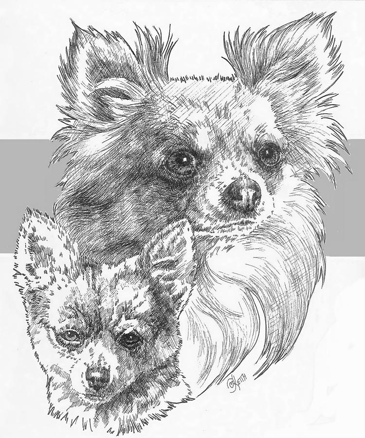 Chihuahua - Longhair - and Pup Drawing by Barbara Keith