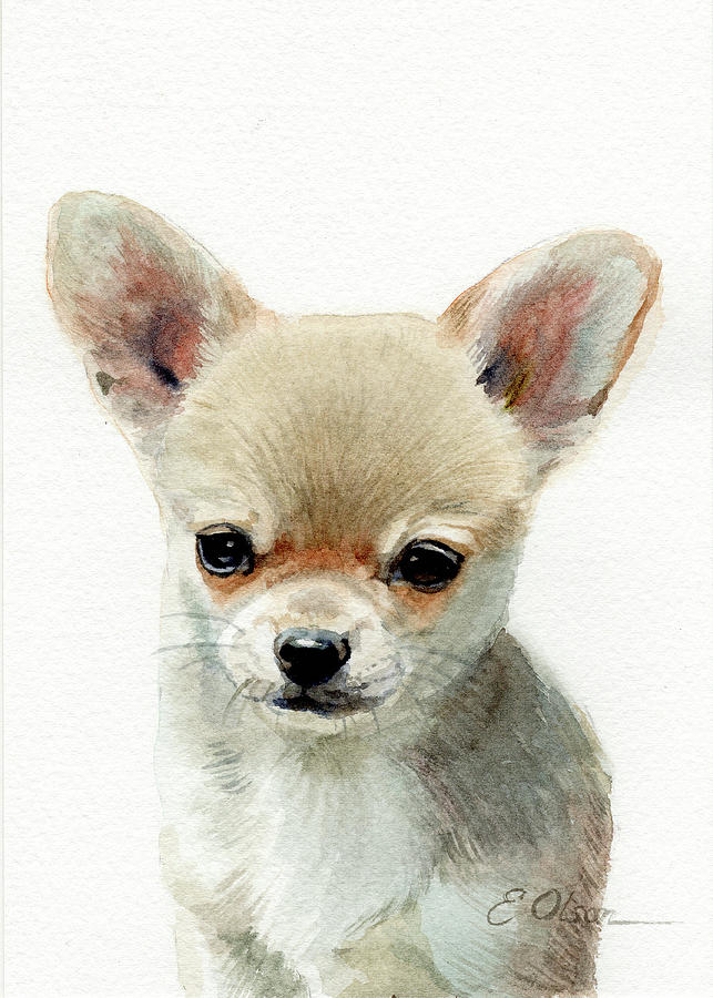 Chihuahua Puppy Painting by Emily Olson