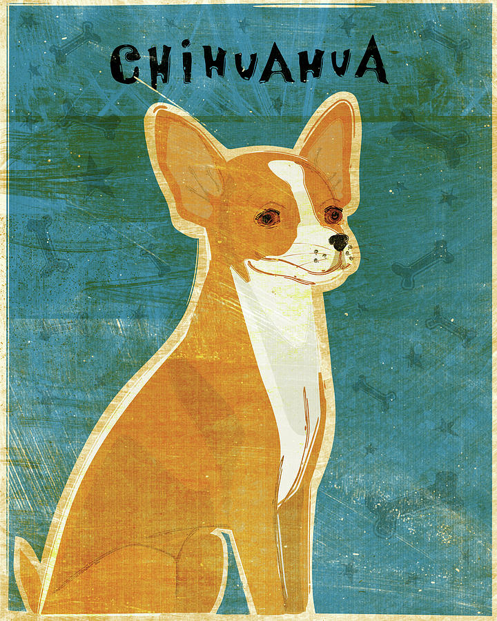 Animal Digital Art - Chihuahua (red) by John W. Golden
