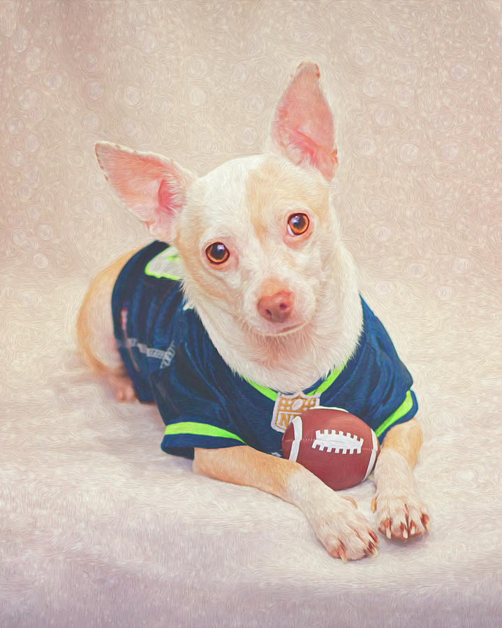 Chihuahua Seahawks Football Fan Digital Art by Calina Bell - Fine Art  America