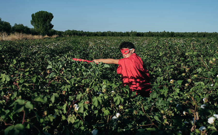 Summer Photograph - Child Disguised As A Red Superhero Enters Cotton Fields Ready To Fight by Cavan Images