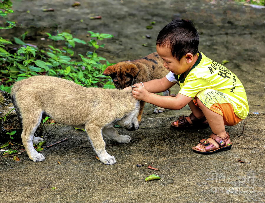 Child Playing with Puppies Color  Photograph by Chuck Kuhn