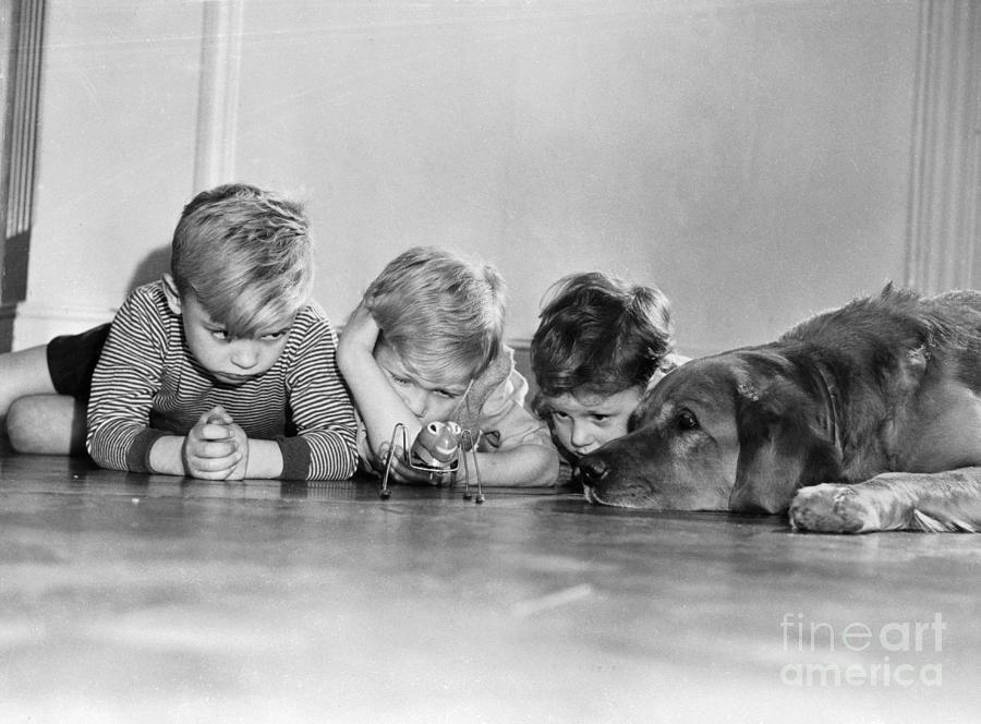 Children 4-5 Watching Mechanical Spider Photograph by Bettmann