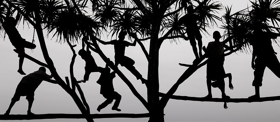 Children Playing In A Tree In Zanzibar Photograph by Mint Images - Art Wolfe