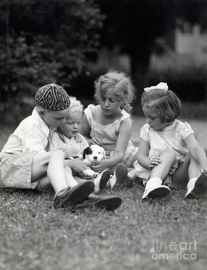 Children Playing With Puppy Photograph by Bettmann
