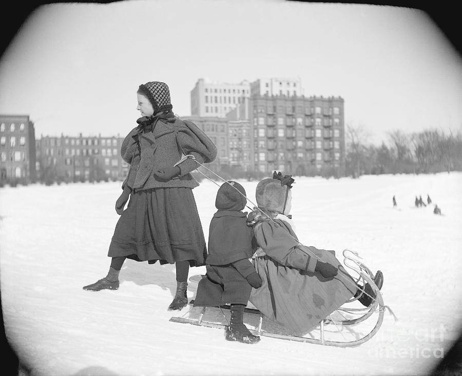 Children Sledding In Central Park Photograph by Bettmann