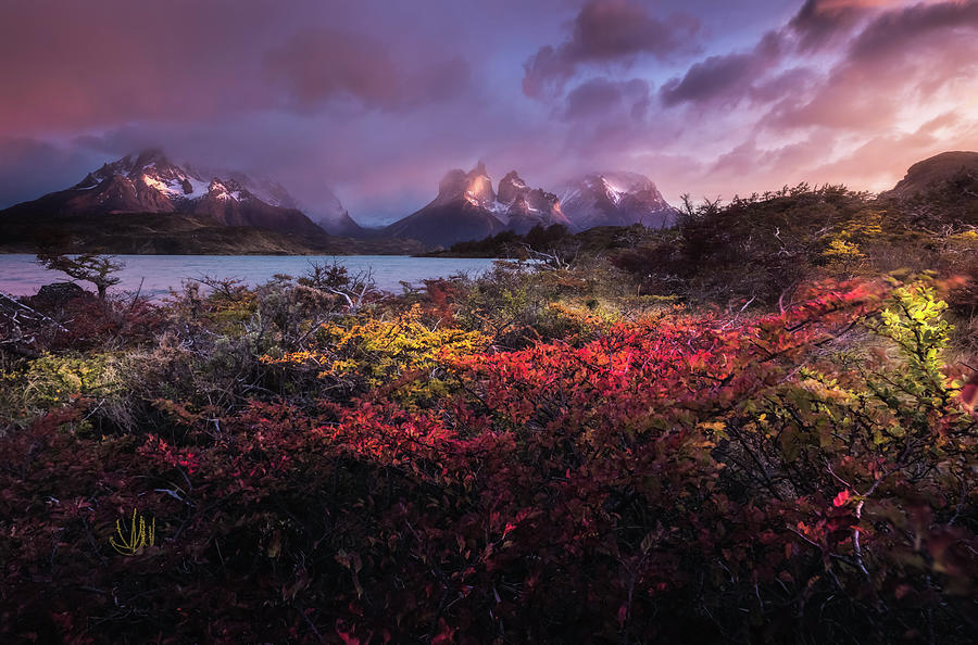 Chile, Magallanes Y Antartica Chilena, Patagonia, Torres Del Paine National Park, Beautiful Autumnal Landscape Of Torres Del Paine National Park, Chile, South America Digital Art by Luca Benini
