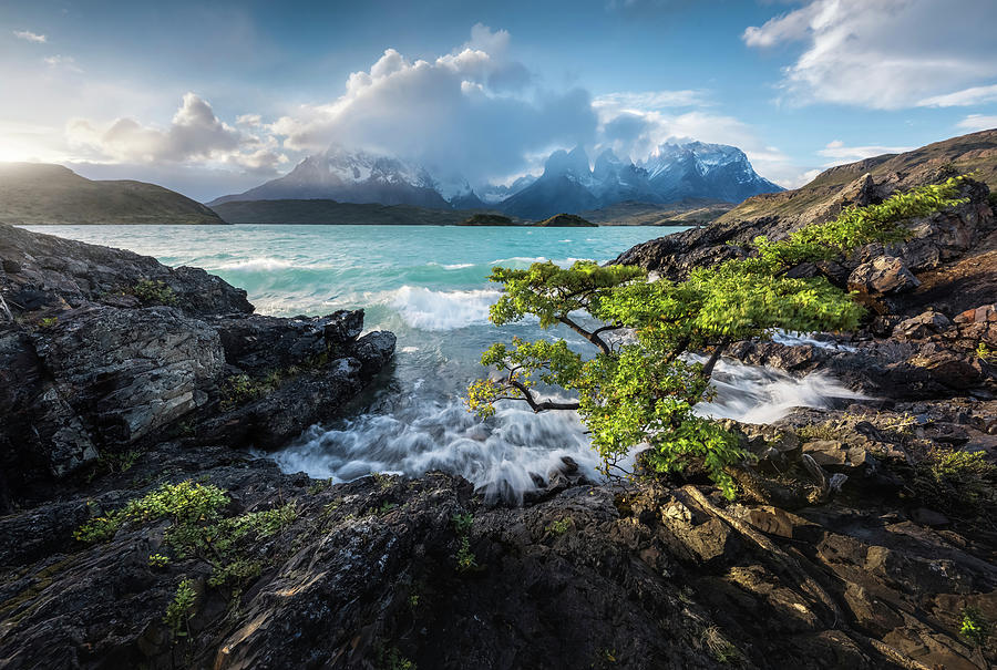 Chile, Magallanes Y Antartica Chilena, Patagonia, Torres Del Paine National Park, Beautiful Landscape Of Torres Del Paine National Park Digital Art by Luca Benini