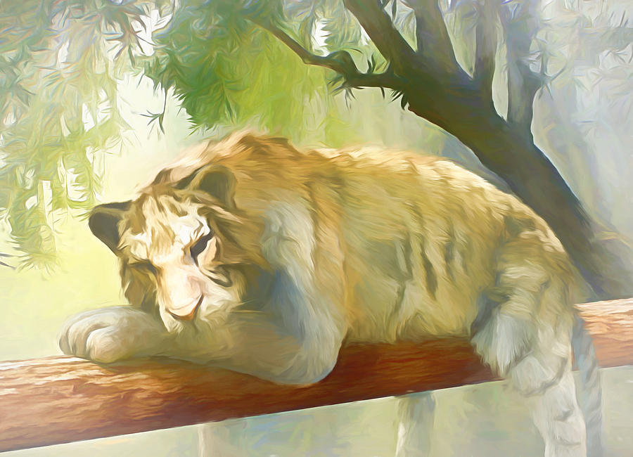 Wild Digital Art - Chilling Tiger by Jasmina Seidl Wild Digital Art - Chilling Tiger by Jasmina Seidl