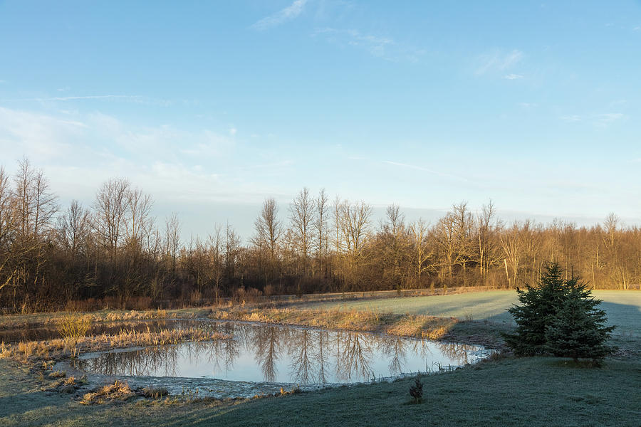 Chilly Morning at a Farm Pond Photograph by Georgia Mizuleva