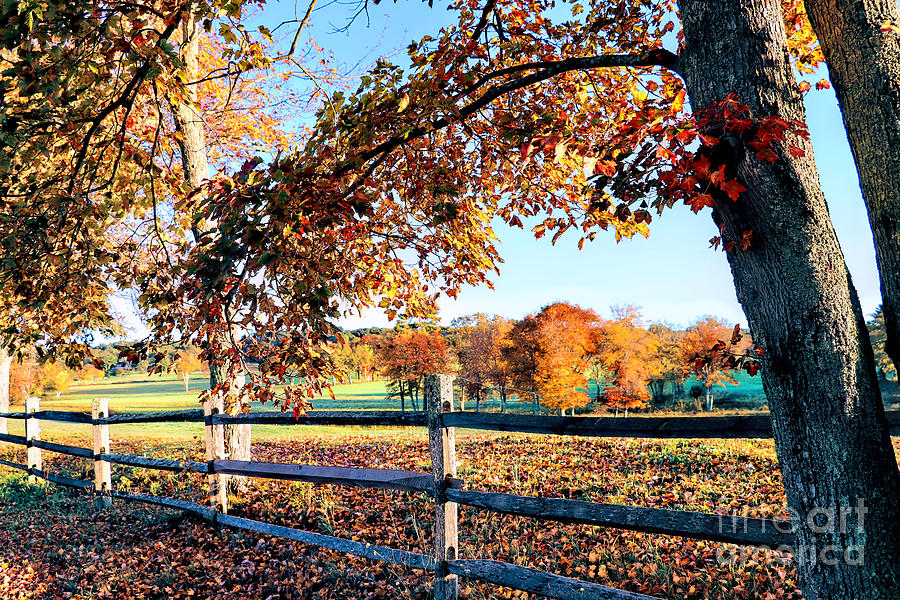 Chiltonville autumn Photograph by Janice Drew