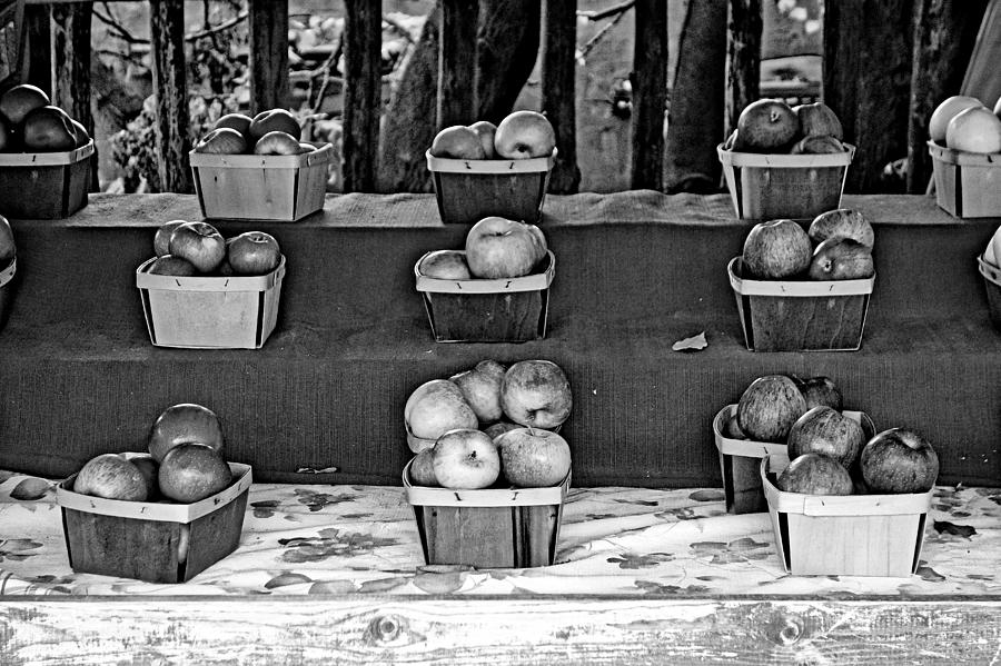 Chimayo Study 20 Photograph by Robert Meyers-Lussier