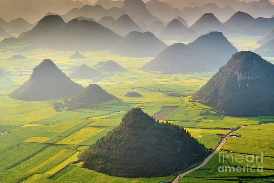 China, Yunnan, Luoping, Fields Photograph by Tuul & Bruno Morandi