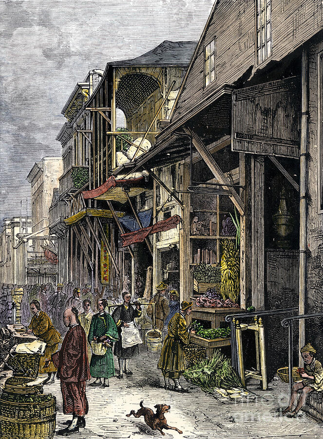 Chinatown Shop In San Francisco, Usa, Years 1870 Colour Engraving Of The 19th Century Drawing by American School