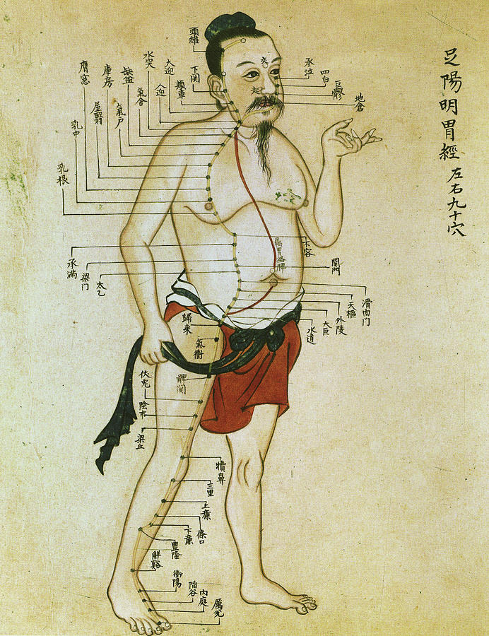 Chinese Acupuncture Charts Painting by Unknown - Fine Art America